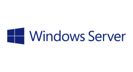 Windows Server 2025 Standard Lifetime Private Key