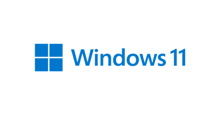Windows 11 HOME OEM Key - Private